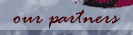 Our Partners